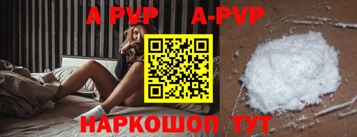 A PVP СК КРИС Пугачёв