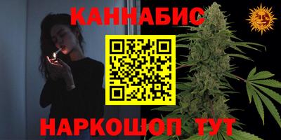 мдпв Пенза