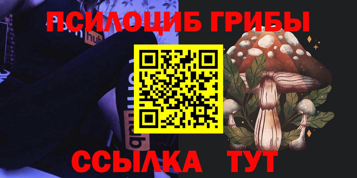 Пугачёв  Галлюциногенные грибы Psilocybe  Вход с VPN 